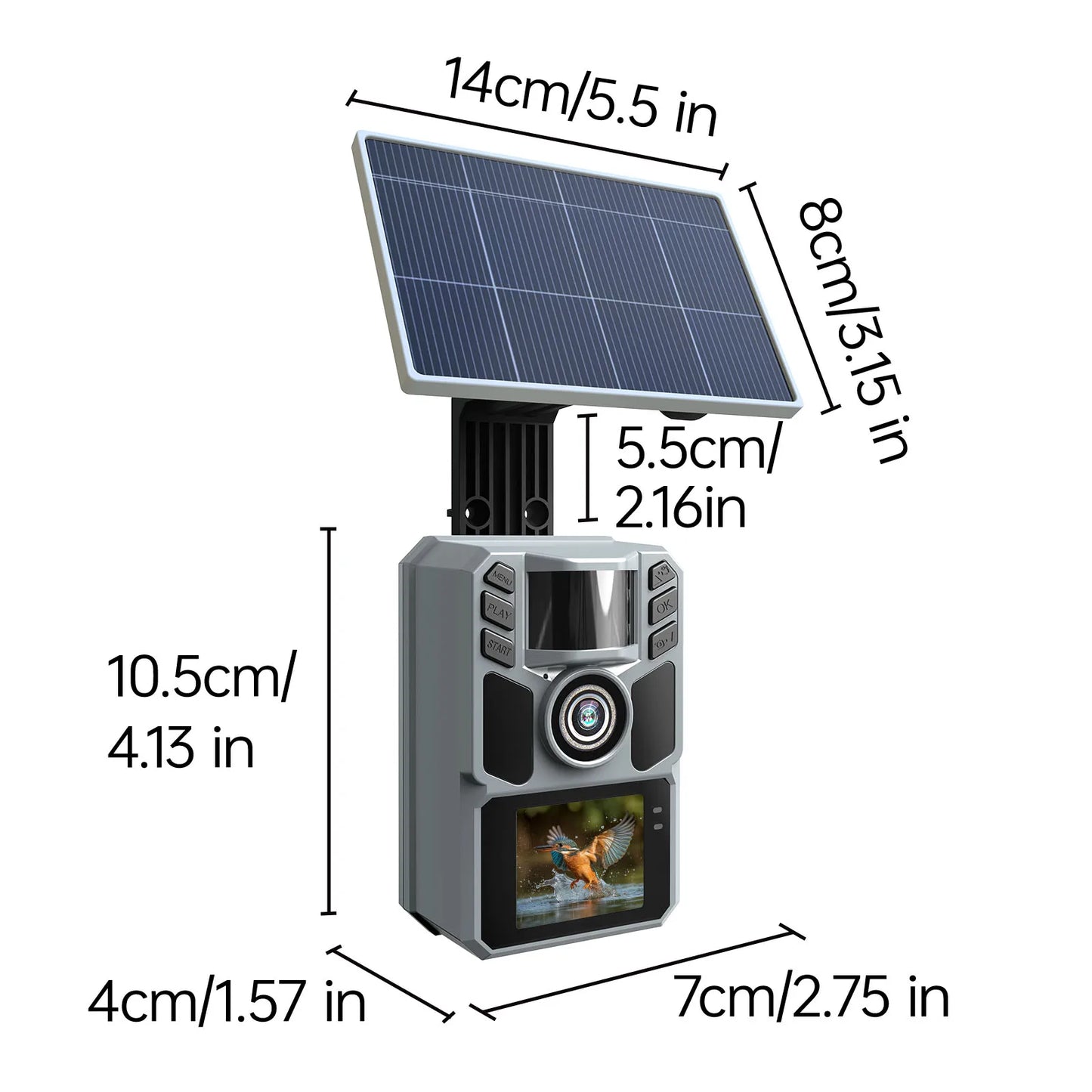 Solar Night Vision Trail Camera