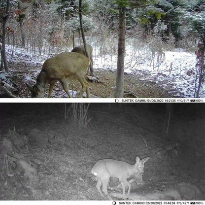 Solar Wildlife Night Vision Waterproof Camera