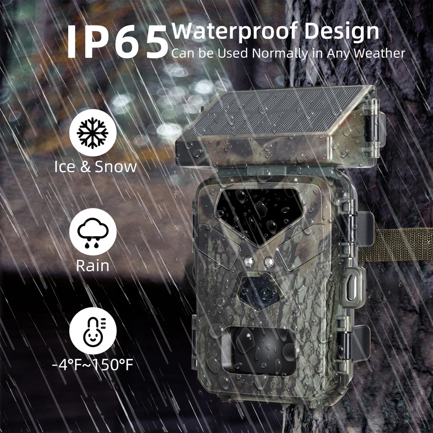 Wildlife Camera
