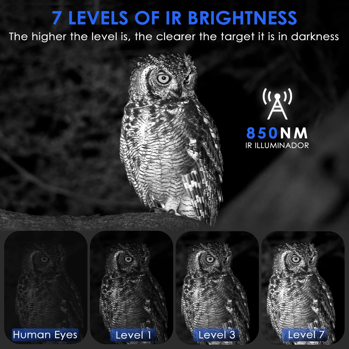 Night Vision Binoculars