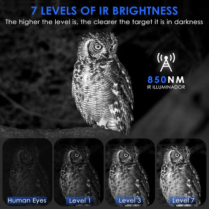 Night Vision Binoculars