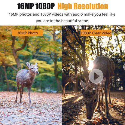 Infrared Waterproof Camera