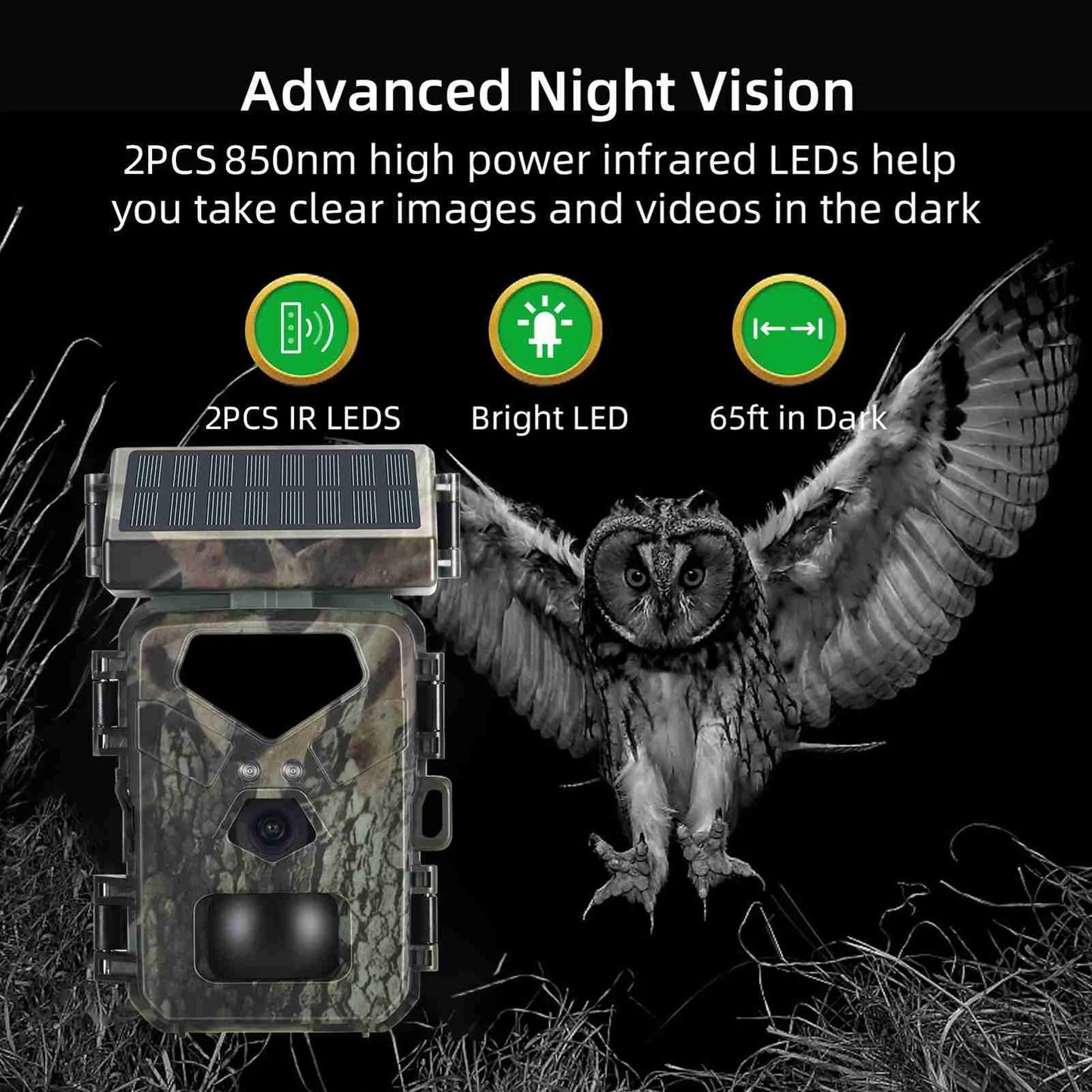 Wildlife Solar Camera